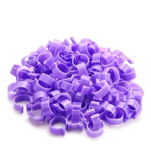 25pcs 100pcs Chicken and Duck Pigeon Leg Small Foot Ring Clasp Poultry Chick Goose Animal Identification Tool for Easy Flock Management(Pigeon Purple 100pcs) - color: Pigeon Purple 100pcs