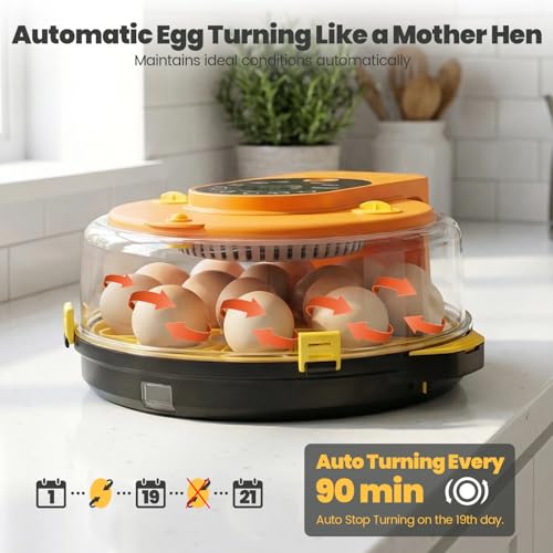 Incubators for Hatching Eggs -15-Egg Automatic Egg Chick Incubator with 5 Smart Preset Modes and Egg Turning, Temperature & Humidity Control Incubator for Goose Duck Children's Day Gift