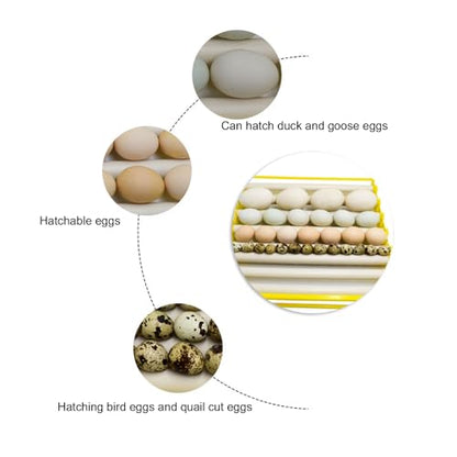 Egg Incubation Tray Automatic Egg Turner with 7 Rollers for Chicken Duck Quail Eggs, Large Capacity 16.9x16.7x2.1 Incubator Accessories for Home Farm Use