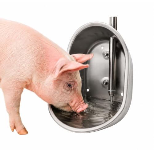 Large Stainless Steel Hog Waterer Bowl, Automatic Livestock Waterer with 1/2" Female NPT Connection, Heavy Duty 304 Stainless Steel Drinking Bowl for Pigs, Hogs, Swine and Farm Animals