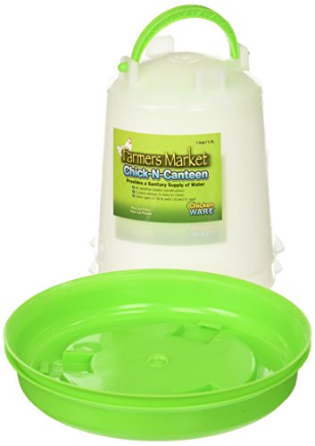(2 Pack) Ware Farmers Market Chick-N-Canteen Bird Feeder, Size Small / 1.5 Quart Capacityl