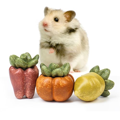 TEEWY Guinea Pig Chew Toys, Natural Vegetables and Timothy Grass, Hamster Chew Toys, Prevents Excessive Tooth Growth in Chinchillas, Gerbils, Hamsters, and Rabbits, Fruits & Vegetables Set - style: 3PCS-Fruit & Vegetable
