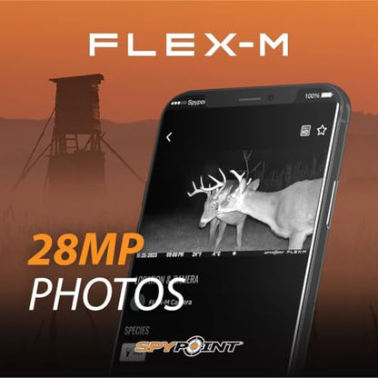 SPYPOINT Flex-M and SD Card Pack - Cellular Trail Cameras |Best Value in Hunting Accessories |No WiFi Needed & GPS-Enabled |Hunting Night Vision | IP65 Waterproof |28MP Photos, 720p Videos - color: Starter Pack- SD, size: Pack of 1