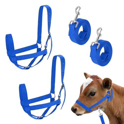 M METERXITY 2-Pack Adjustable Cattle Cow Calf Halter, 18.9"-23.23" Nylon Livestock Cow Halter with Leading Rope for Miniature Horse/Donkey/Goat/Cattle [Blue] - color: Blue, size: 18.9"-23.23"