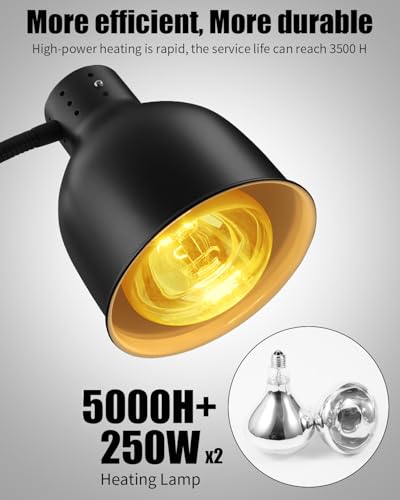 Food Heat Lamp, Heating Lamp with Flexible Arm, 250W Bulb x 3-5000 Hours Rated, Commercial Food Warmers for Buffet, Parties, Fast Food, (Black) - color: Black, size: Double-Head
