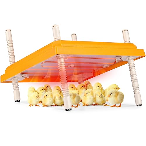 Brooder Heater for Chicks, 10" x 10" Thermostatically Controlled Brooder Heating Plate, Chick Brooder Heater with Adjustable Height and Angle
