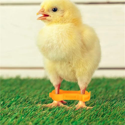 Chicken Leg Bands 60 Pcs Chick Leg Correction Brace PVC Adjustable Splay Support for Chicks Healthy Growth Reusable Poultry Care