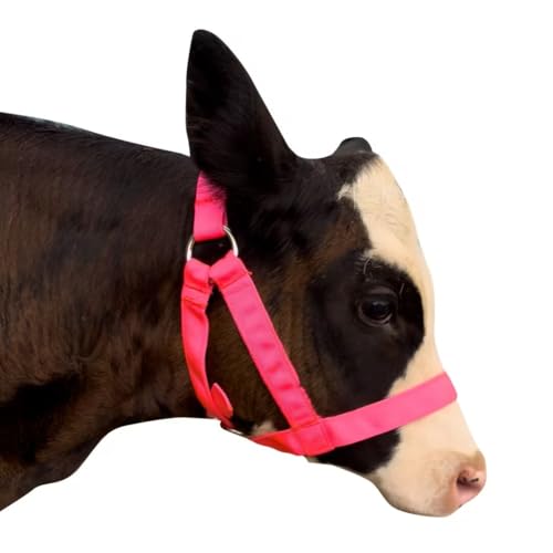 perixir Cow Halter Cattle Halters Calf Halter，Adjustable Nylon Livestock Cattle Halter，for Miniature Horse Donkey Goat Foal - color: Pink, size: Large