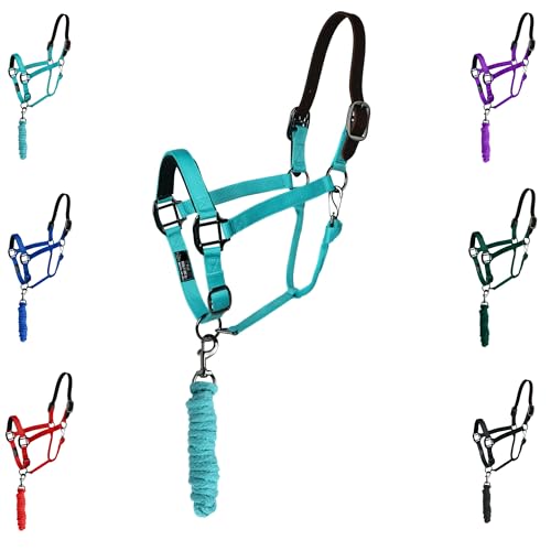 Majestic Ally Leather Halter with Matching Lead Rope for Horses – Leather Breakaway Crown - Adjustable Chin Strap – Rolled Throat Latch – Padded Noseband – Full (Turquoise-Black Nickel, Full) - color: Turquoise, size: Full
