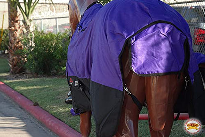 HILASON 1200D Winter Waterproof Poly Horse Turnout Blanket Belly Wrap Purple | 72 in - color: Purple Black, size: 72 In
