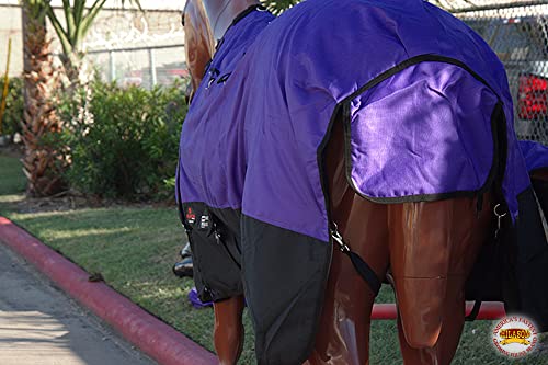 HILASON 1200D Winter Waterproof Poly Horse Turnout Blanket Belly Wrap Purple | 69 in - color: Purple Black, size: 69 In