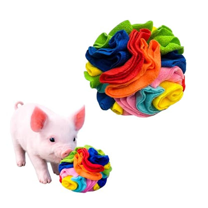 Snuffle Ball for Mini Pigs, Fun Enrichment Pig Toys (Rainbow) | for Small Animals, Soft Layers, Encourage Instincts, Slow Down Eating, Mental Stimulation - color: Rainbow