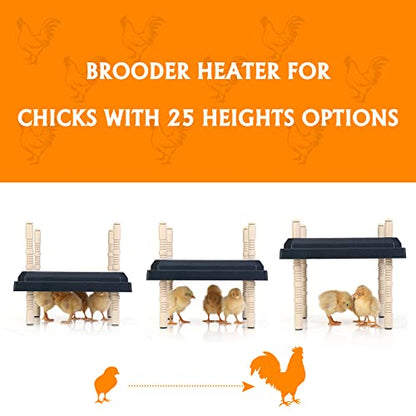 Brooder Heater for Chicks: Chick Brooder Heating Plate with Easy- Cleaning Plate Poultry Coop Heater Chicks Warmer 10" x 10" for 15 Chicks Adjustable Height Brooding Heater 15 Watts - color: Black-10x10