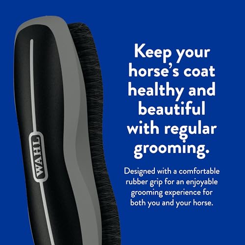 Wahl Professional Animal Equine Grooming Stiff Body Horse Brush, Black (#858705) - color: Black
