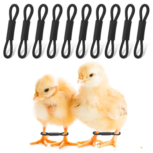 100 Pcs Baby Chicken Splay Leg Hobble Braces, Adjustable Poultry Leg Bands for 1-3 Days Newly Hatched Chicks, Quails, Ducks, Practical Spraddle Legs Repair Support Straps for Newborn Poultry (Black)