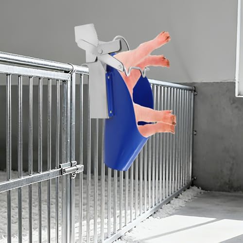 Pig CastRodention Tool & Piglet CastRodention Device, Stainless Steel CastRodention Rack with Position Restraint System, Livestock Breeding Equipment for Farm Swine Management and Animal Husbandry