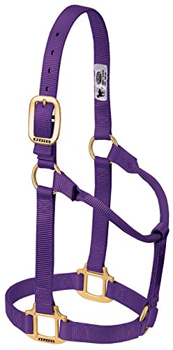 Weaver Leather Original Non-Adjustable Nylon Horse Halter, Purple, Yearling