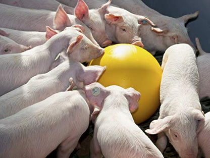 Kerbl Plastic Piglet Stress Ball 30cm Packed for Livestock/Urban Agriculture