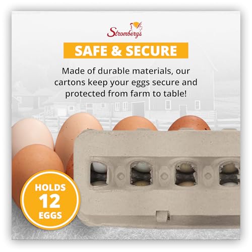 Stromberg's Jumbo Blank Egg Cartons, Bulk Pack for Jumbo Eggs, Perfect for Custom Branding, Safe & Secure Egg Storage, Convenient Stacking for Easy Transport and Storage, 200 Pack