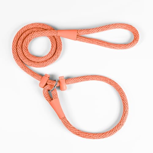 Lynxking Dog Leash Slip Lead Reflective Breathable Rope Comfortable Strong No Pull Slip On Pet Training Lead for Dogs (Orange, Small 3/8 inch x 6ft) - color: Orange, size: Small 3/8 inch x 6ft