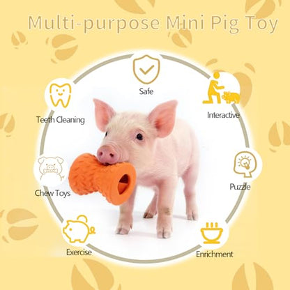 Treat Dispensing Ball for Pigs, Pig Enrichment Toys Food Dispenser for Mini Pigs, Slow Feeder Training Toy Pet Interactive Foraging & Rooting Toys for Pigs to Play with