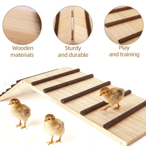 2-in-1 Chick Perch & Ramp Trainer Set, Wooden Chicken Roost Bar & Stand for Brooder Coop, Baby Chicken Supplies Toys for Chicks Ducks Quails and Small Animals