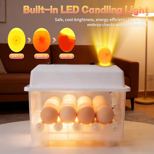 Egg Incubator for Hatching Eggs 16 Egg Chicken Egg Incubator with Automatic Egg Turning Precise SJZ SUN RUN Temperature Display for Chicken Coop Duck Goose & Quail Eggs