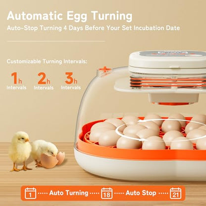 APDOE Egg Incubators for Hatching Eggs, Temperature and Humidity Control, Automatic Egg Turning, Egg Candler, External Water Bottle, Air Vent, for Chicken, Duck & Quail Eggs, 25 Eggs - size: 25 Eggs