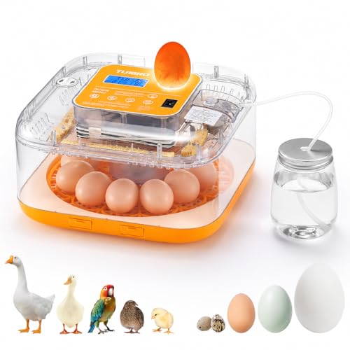 TURBRO Incubator for Hatching Eggs, Automatic Turning, Temperature & Humidity Control, Built-in Candler, 60° Viewing, 12 Egg Incubators for Chicken, Duck, Quail, Turkey, Goose, Parrot, Bird