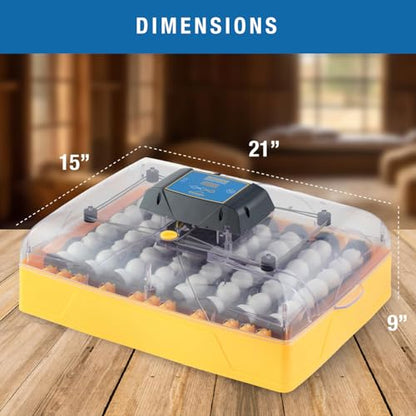 Brinsea Ovation 56 Advance Egg Incubator with Humidity Display, Automatic Egg Turning, Precision Controls, Temperature Alarms for Hatching 56 Chicken, Duck, and Other Bird Eggs - size: 56 Eggs