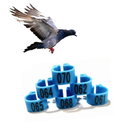 Chicken Leg Rings 9 Color Numbered Chicken Leg Bands Colorful Poultry Leg Bands 10mm Clip-on Chicken Ankle Ring(001-500) Blue 201-300 - color: Blue, size: 201-300