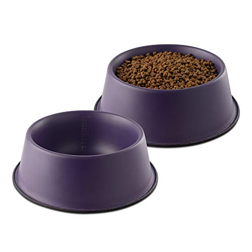 Flourish Stainless-Steel Dog Bowls | Extra Thick, Durable Pet Bowl | Non-Slip Silicone Base, Easy to Measure, Pet Bowls for Kibble & Water | for All Kind of Dogs & Cats (Purple-112 Ounces) 2PK Large - color: Purple, size: Large 2 Pack (112 oz)