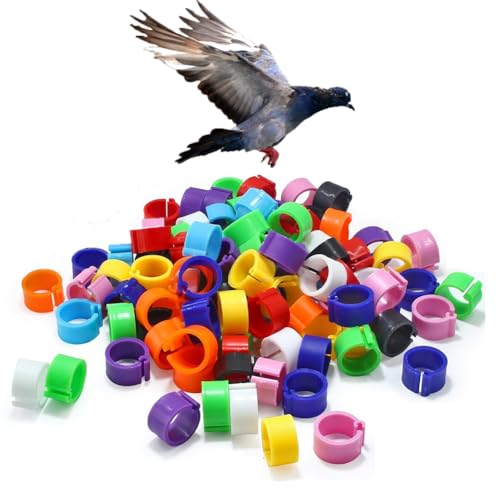 Chicken Leg Rings 9 Color Numbered Chicken Leg Bands Colorful Poultry Leg Bands 10mm Clip-on Chicken Ankle Ring(001-500) Mixed Color 401-500 - color: Mixed Color, size: 401-500
