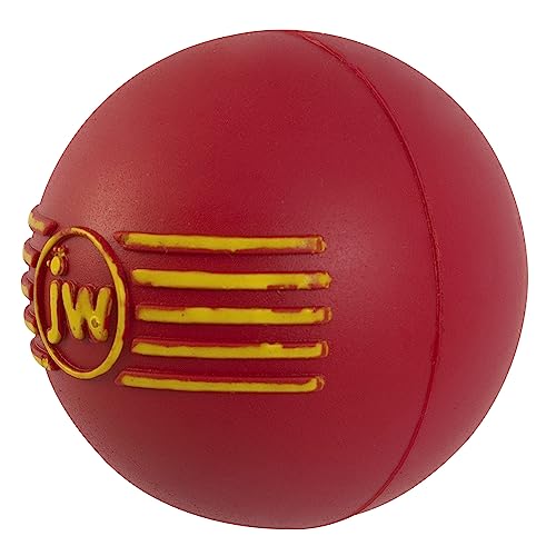 JW Squeak-ee Ball Puppy Toy - size: Small