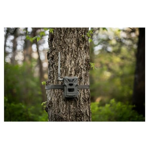 SPYPOINT Flex-M Twin Pack Cellular Trail Cameras - Best Hunting Accessories, No WiFi Needed, GPS, Night Vision, Dual-Sim LTE, IP65 Water-Resistant Game Camera, 28MP Photos, 720p Videos + Sound (2) - color: Camera Only, size: Pack of 2
