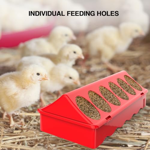 2-Pack Plastic Flip-Top Poultry Feeders, Spill-Proof Chick Feeder Trough with Multiple Feeding Holes, No-Waste Baby Chicken, Duckling, and Quail Feeding Dish Dispenser - color: 2 Pack