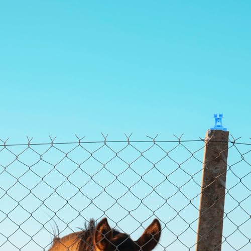 BESPORTBLE 50pcs Electric Fence Insulators High Strength Lightweight Fencing Accessories for Livestock Excellent Insulation Weather Resistance