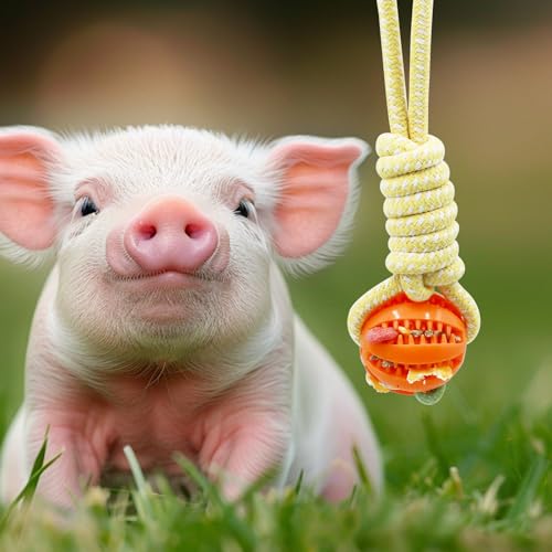 Mini Pig Treat Dispenser Ball Toys Plastic Food Foraging Ball with Rope for Pigs Dogs Ferret Supplies (Blue) - color: Blue