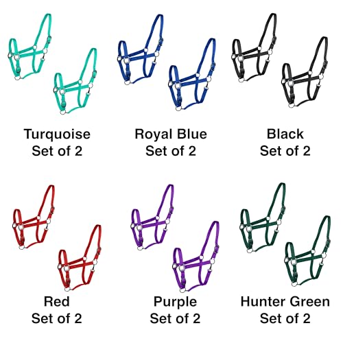 Majestic Ally Pack of 2 Adjustable Halter for Horses–Adjustable Chin and Crown– Sewn-in Throat Snap Hook- Heavy Duty Rose Gold or Black Nickel Finish Hardware–Full - color: Black-Rose Gold