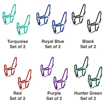 Majestic Ally Pack of 2 Adjustable Halter for Horses–Adjustable Chin and Crown– Sewn-in Throat Snap Hook- Heavy Duty Rose Gold or Black Nickel Finish Hardware–Full - color: Black-Rose Gold