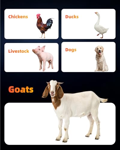 6 Pack Hanging Goat Feeder & Mineral Trough, 5 Qt Fence Feed Trough for Goats, Sheep, Ducks & Chickens, Plastic Farm Feed Bucket with Clips, Zip Ties & Screws, for Grain, Grit & Minerals - color: 6 Pack
