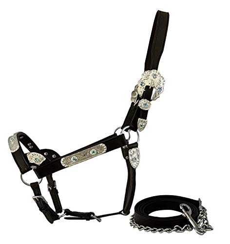 Average Horse Size Leather Double Stitched Silver bar Horse Size Show Halter with Leather Chain