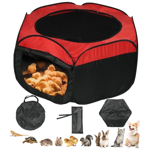 Chick Brooder Box for Baby Chicks,Brooder Box for Chick Starter Kit Pop-Up Brooder with Double Doors,Fits Up to 15 Chicks, Ducks, or Quail,Chicken Starter Kit Brooding Supplies for Backyard Poultry