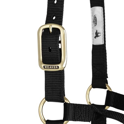 Weaver Leather Original Non-Adjustable Nylon Horse Halter, Small, Black