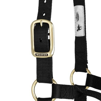 Weaver Leather Original Non-Adjustable Nylon Horse Halter, Small, Black