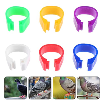 ORFOFE 100pcs Bird Leg Bands Chicken Duck Bands Poultry Foot Ring Clip Ring and Comfortable for Birds Identification