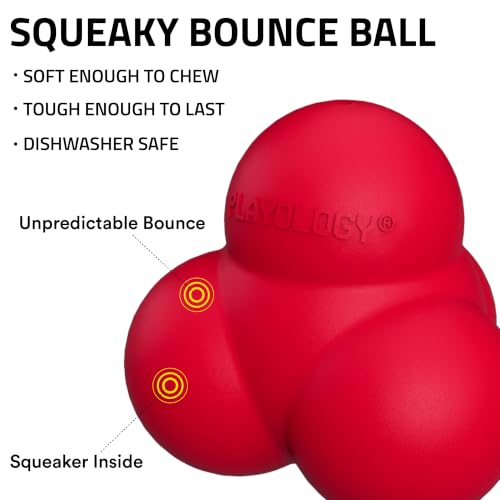 Playology Dog Toys | Squeaky Bounce Ball for Large Dogs | Beef Scented Jumbo Dog Ball for Interactive Play - style: Beef