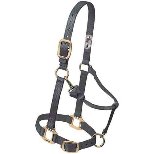 Weaver Leather Original Adjustable Chin and Throat Snap Halter, 1" Average Horse,Graphite