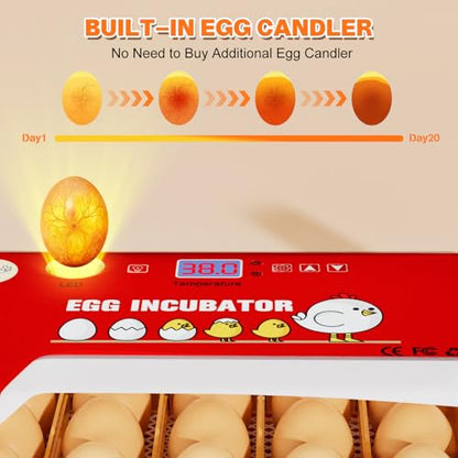 Incubators for Hatching Eggs 15-35 Eggs Incubator with Automatic Egg Turning and ℉Temperature Display LED Candler Poultry Incubator for Hatching Chicken Duck and Quail Incubator (Red)