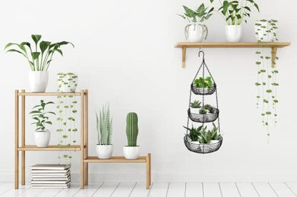 CAXXA 3-Tier Hanging Basket Fruit Organizer Kitchen Heavy Duty Wire Organizer with 2 Free Bonus Metal Ceiling Hooks, Black - color: Black